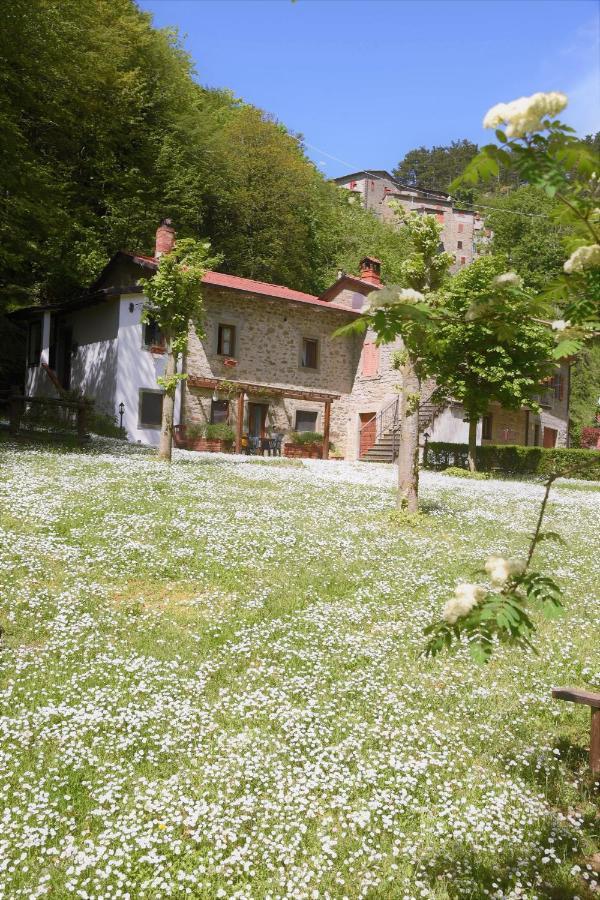 Il Molino Di Serravalle Bibbiena Exterior foto
